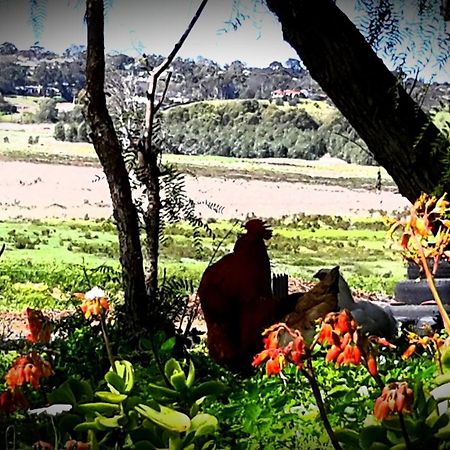 A La Folly Too The Old Workshop Bed & Breakfast Murray Bridge Dış mekan fotoğraf